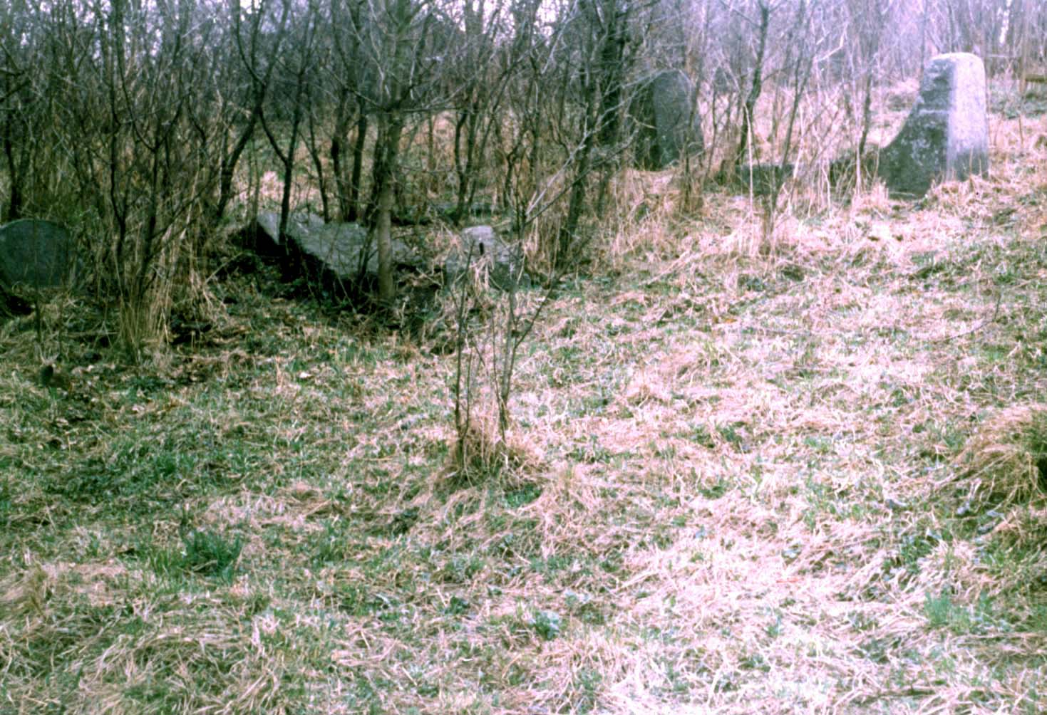Site of the murder of Voronovitsa Jews near the sugar factory